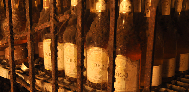 【スロバキア産】貴腐ワイン トカイ・クラシック・6プット《Tokaj Classic 6-putnyovy 》【サクラアワード・ダブルゴールド受賞ワイン】