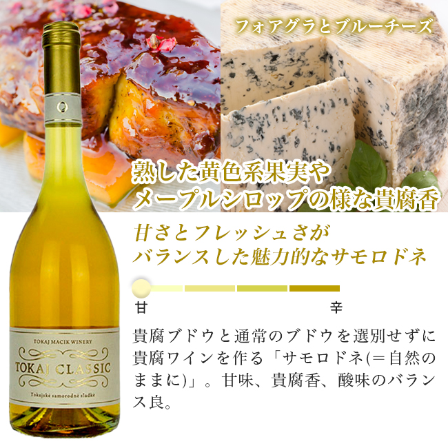 日本初】スロバキアワイン専門のインポーター/株式会社マイティワイン